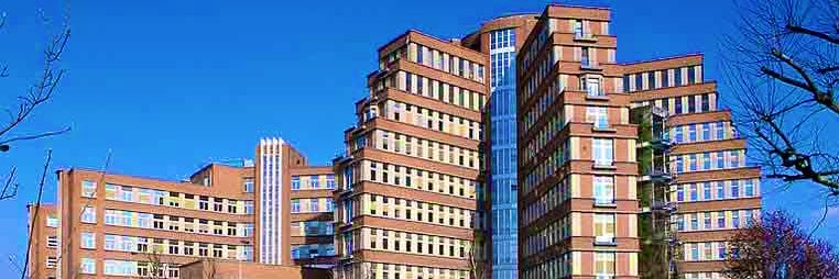 Biardeau Xavier banner