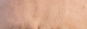 spider_as1's profile banner image