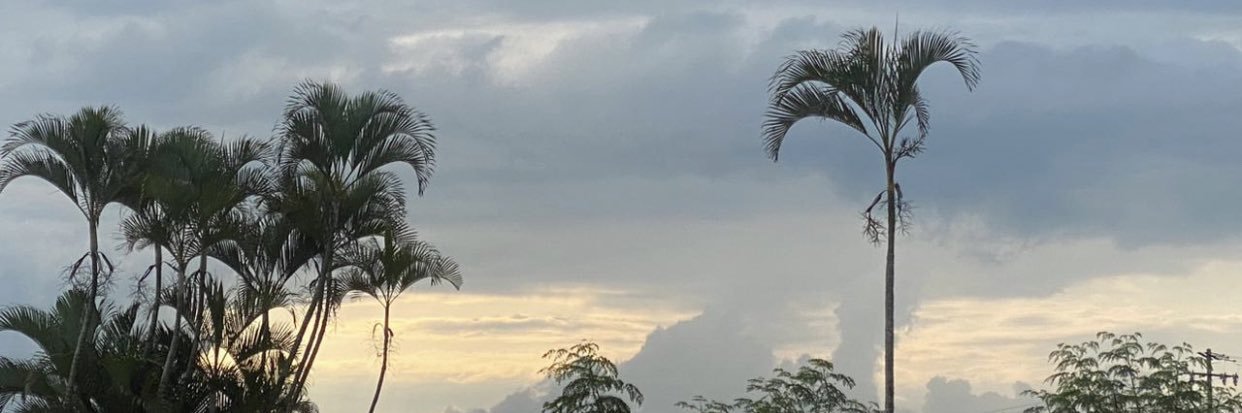 HeyYouMauleon's profile banner image