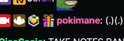 dolphinpilot's profile banner image