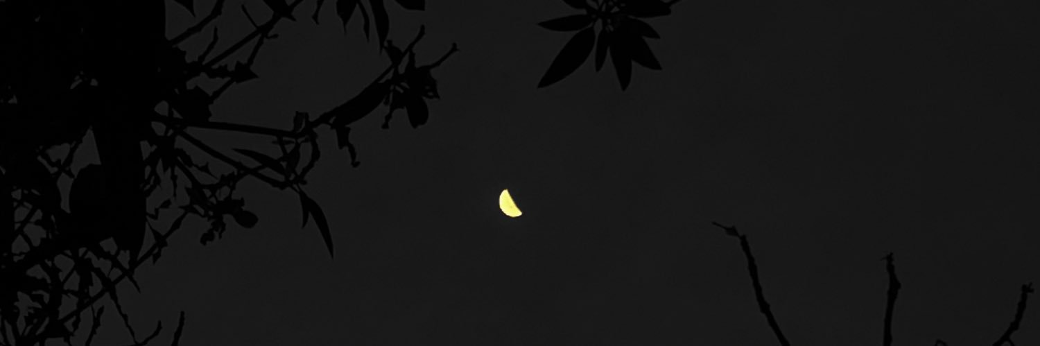 KlingerNathaly's profile banner image