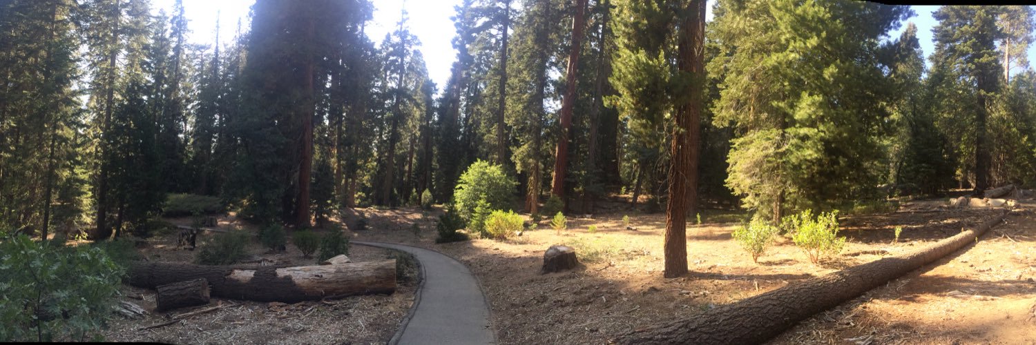 Uncle Anarchy banner