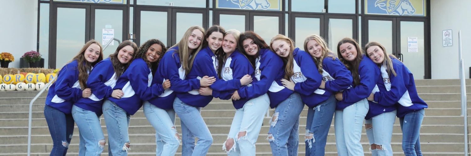 Starry Knights banner