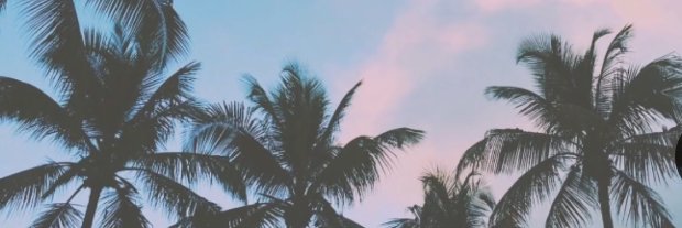 Giu. banner