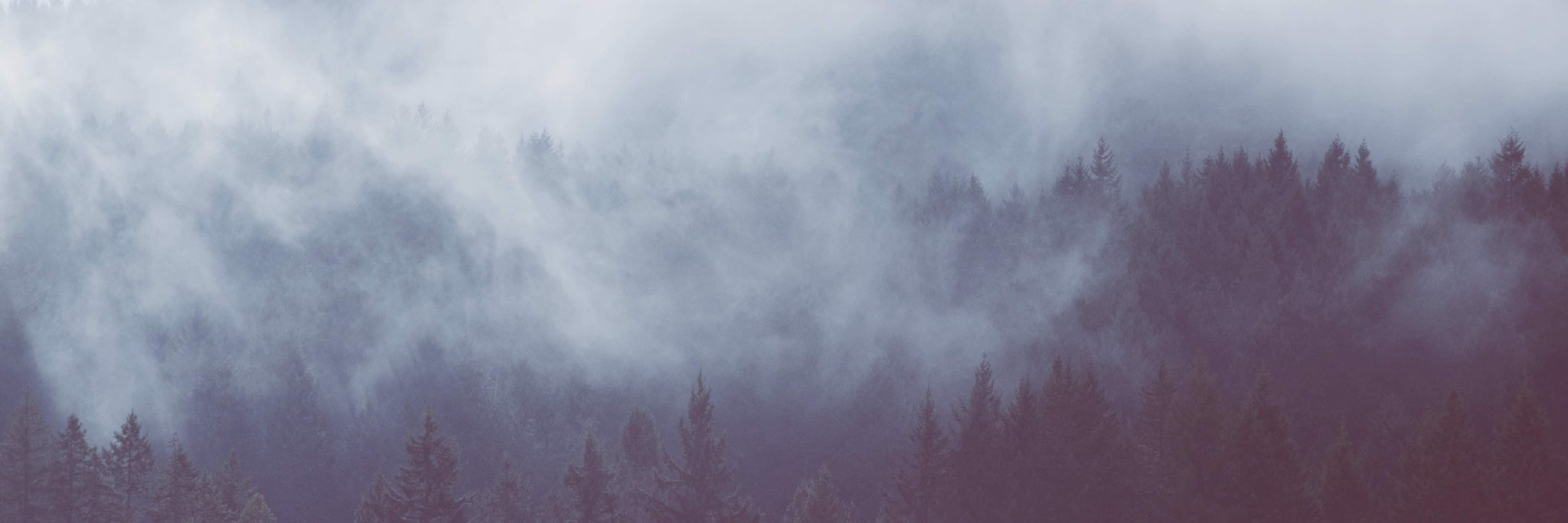 ⚡️Emma Brooks 🙌🏻 banner