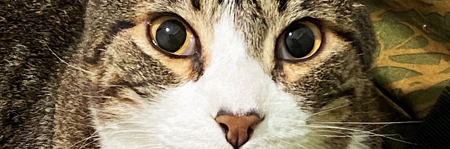 radelandd's profile banner image
