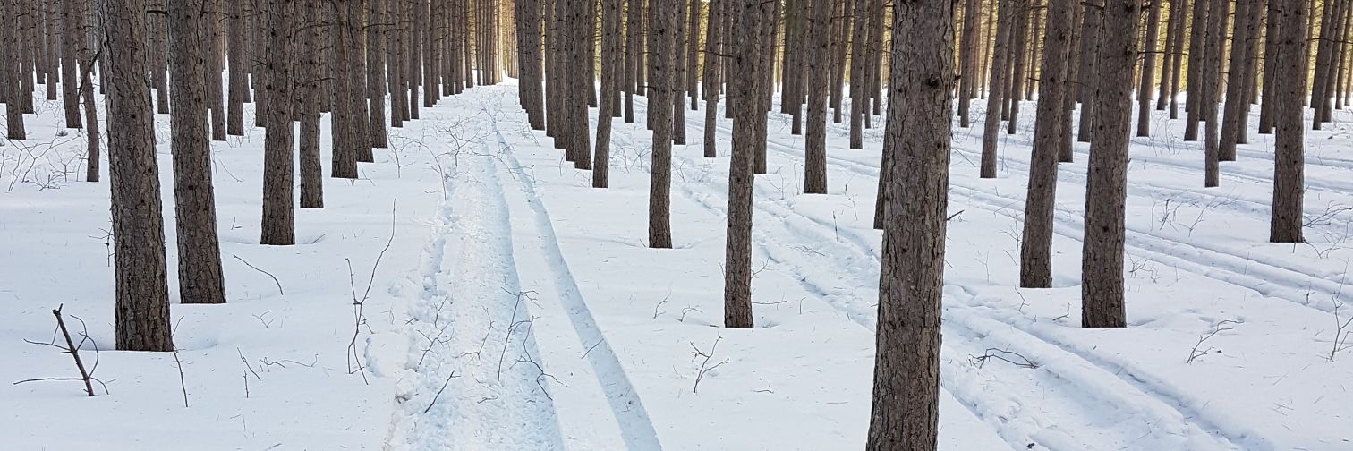 CarolineAllard_'s profile banner image