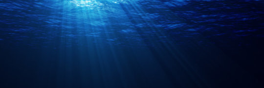 DistrustMP3's profile banner image