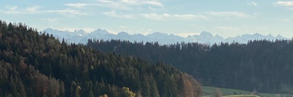 AnnePetersMPIL Profile Banner