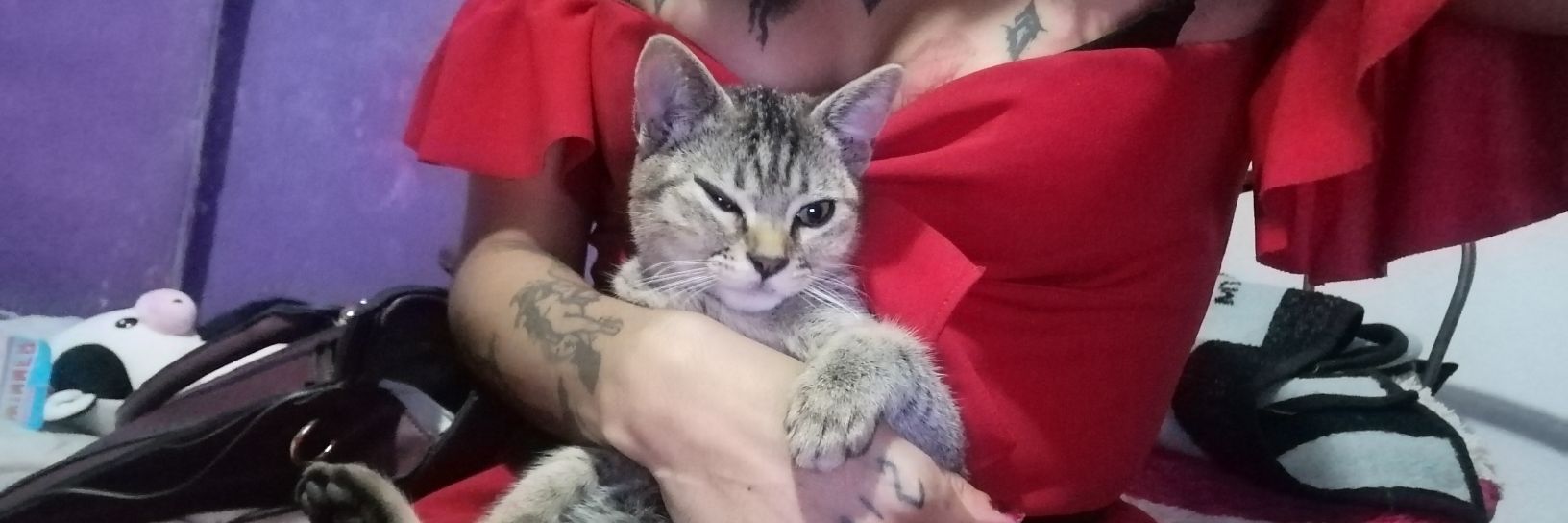 Dannae Dark⛧⸸💀 (Diva Satánica) banner