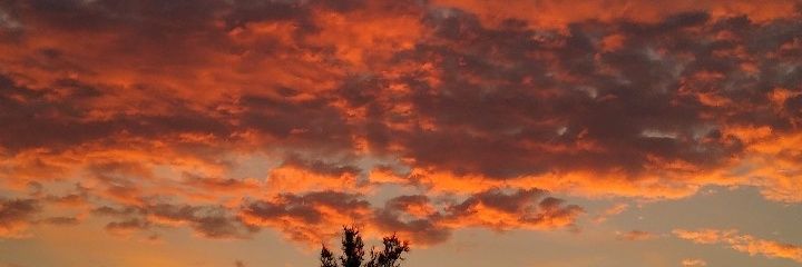 JavierRammFraa's profile banner image