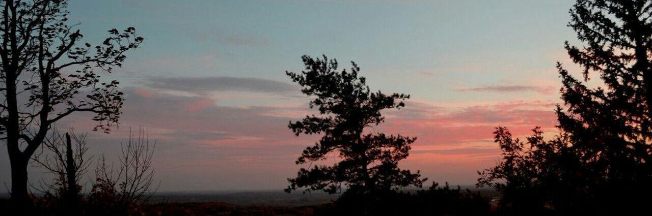 Inyong🦁 👻 banner