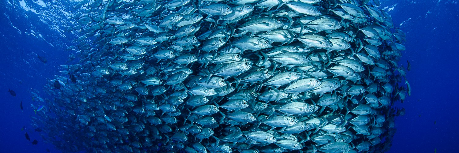 Marine Stewardship Council Australia & New Zealand banner