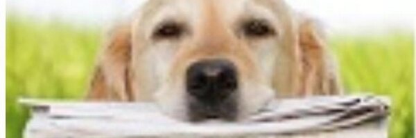 RedDeerNewsArea Profile Banner