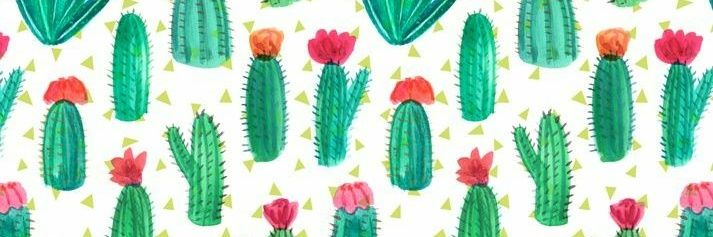 LuBarbadillo's profile banner image