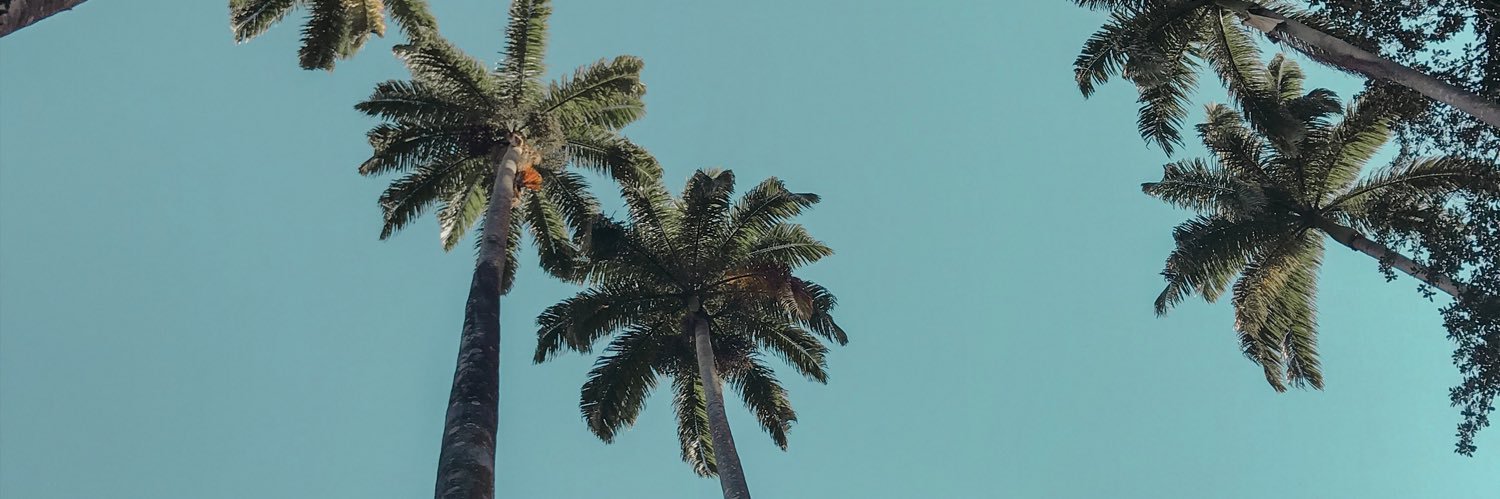 mjsiq's profile banner image