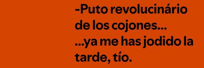 Tomasin La Leyenda🌰 banner