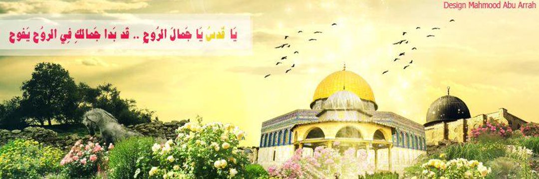 RedwanWarda's profile banner image
