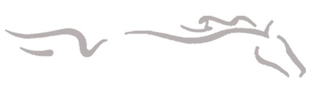Purohipismo's profile banner image