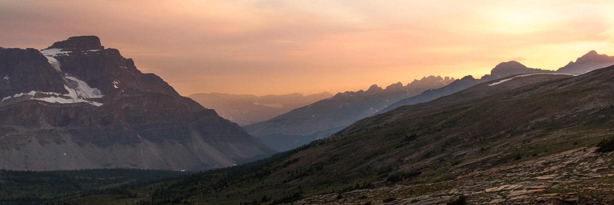 MaxAmerongen's profile banner image