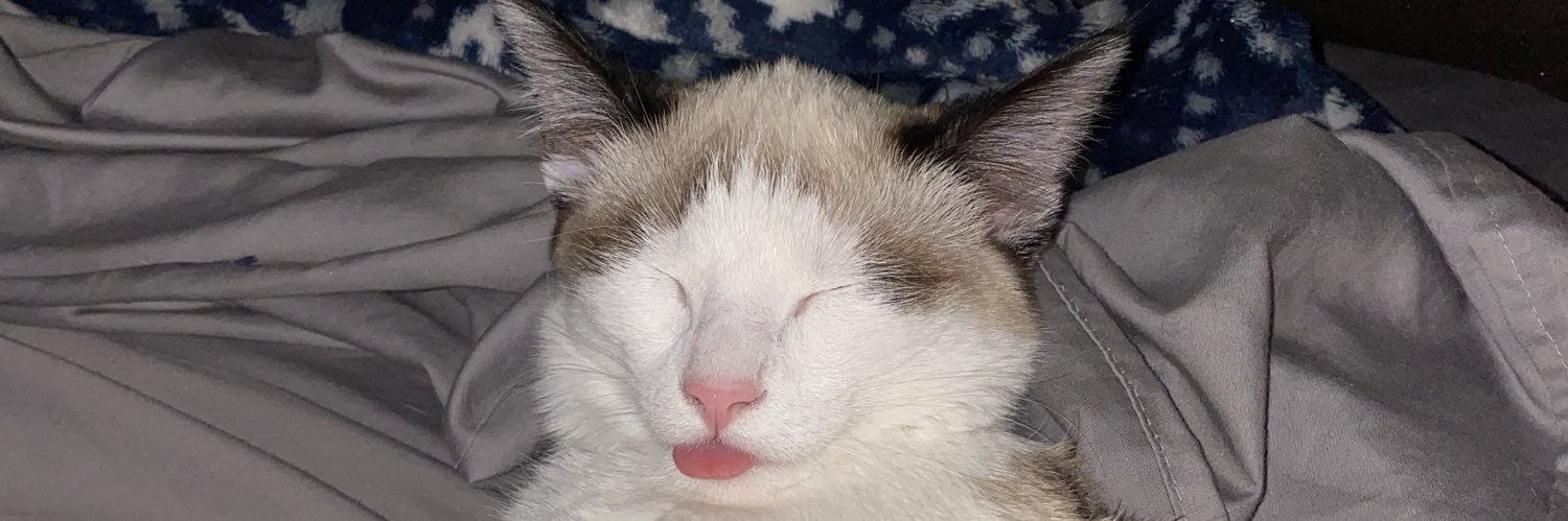 ashleykosmerl's profile banner image