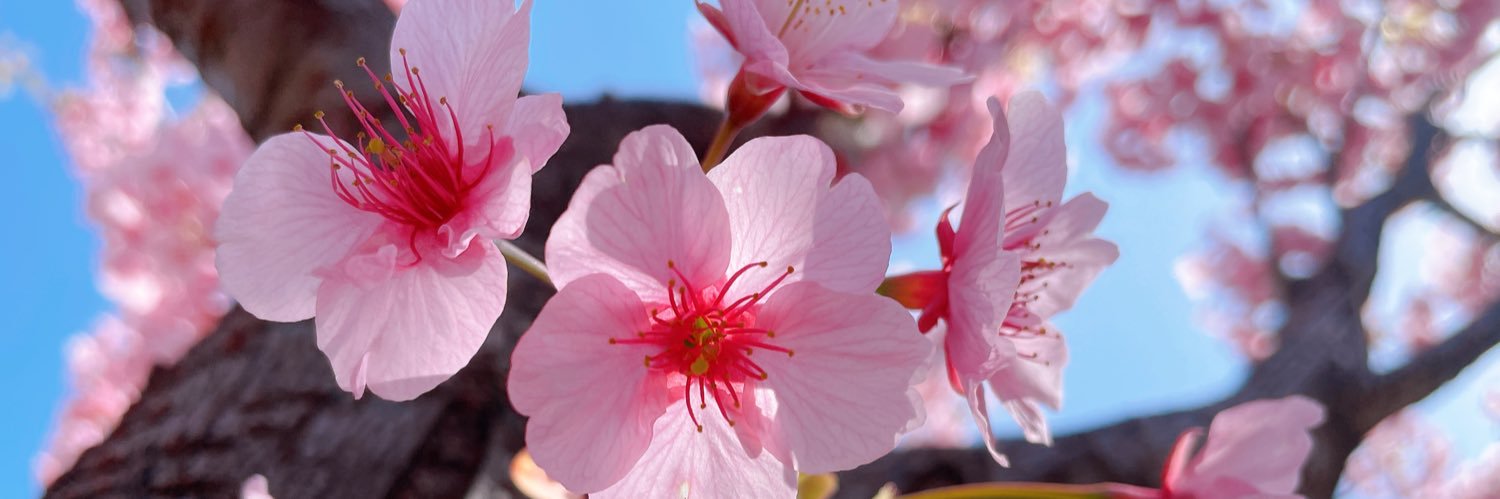 りりあん banner