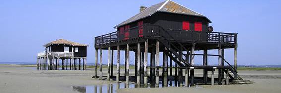 Marie-Anne 5020 banner