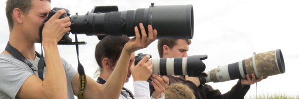 emmygongo's profile banner image