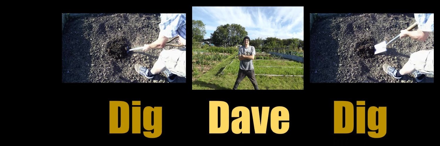 DigDaveDig's profile banner image