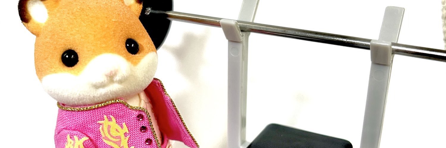 彩紋 banner