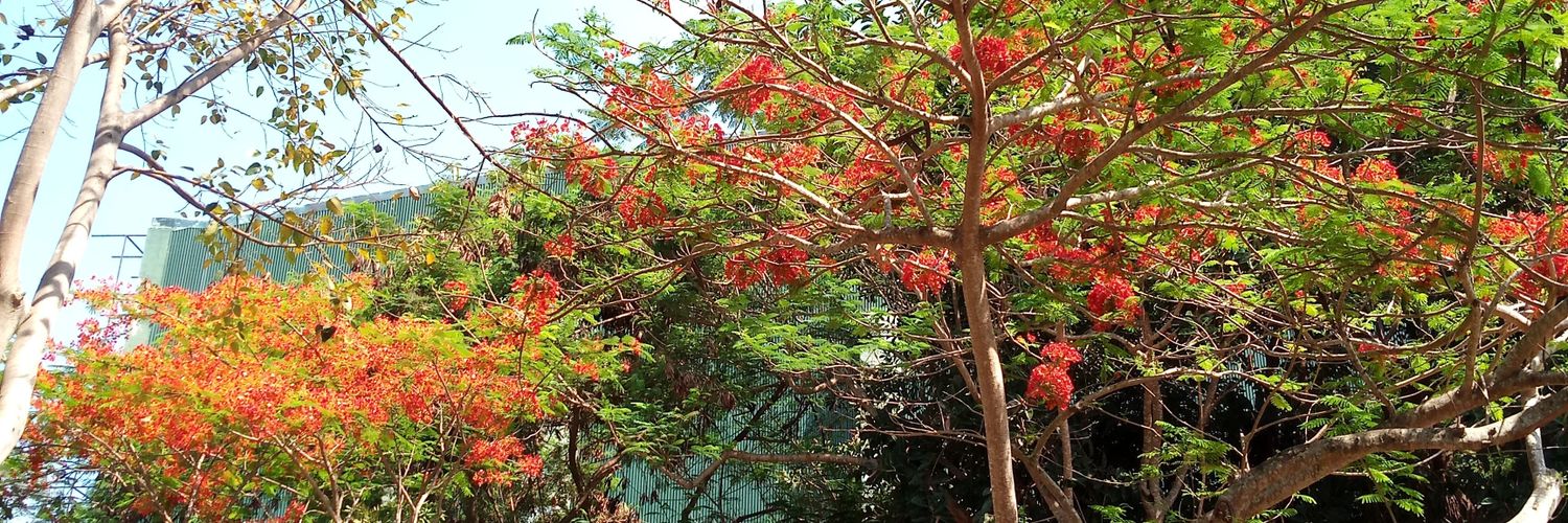 intenpradnya's profile banner image