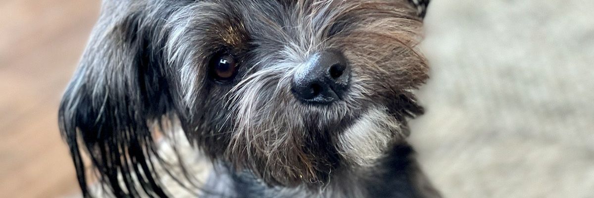 RobertS10131363's profile banner image