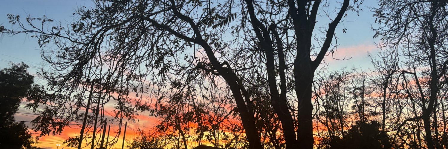 vanessa_mval's profile banner image