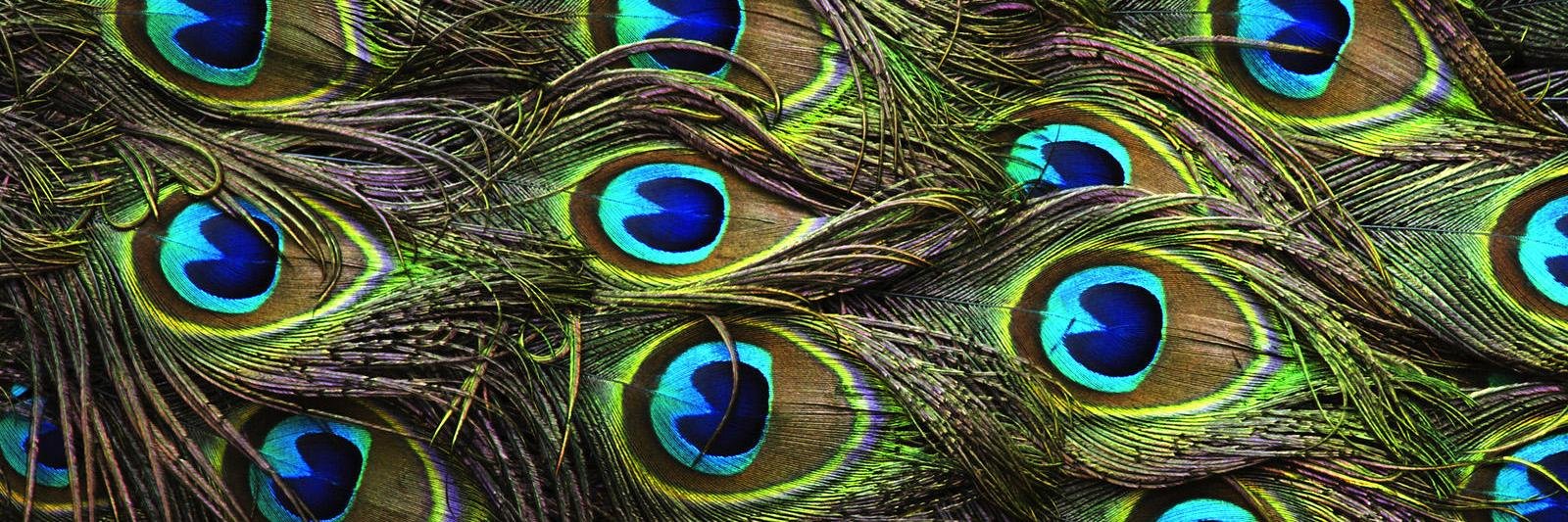 BeyanaMathew's profile banner image