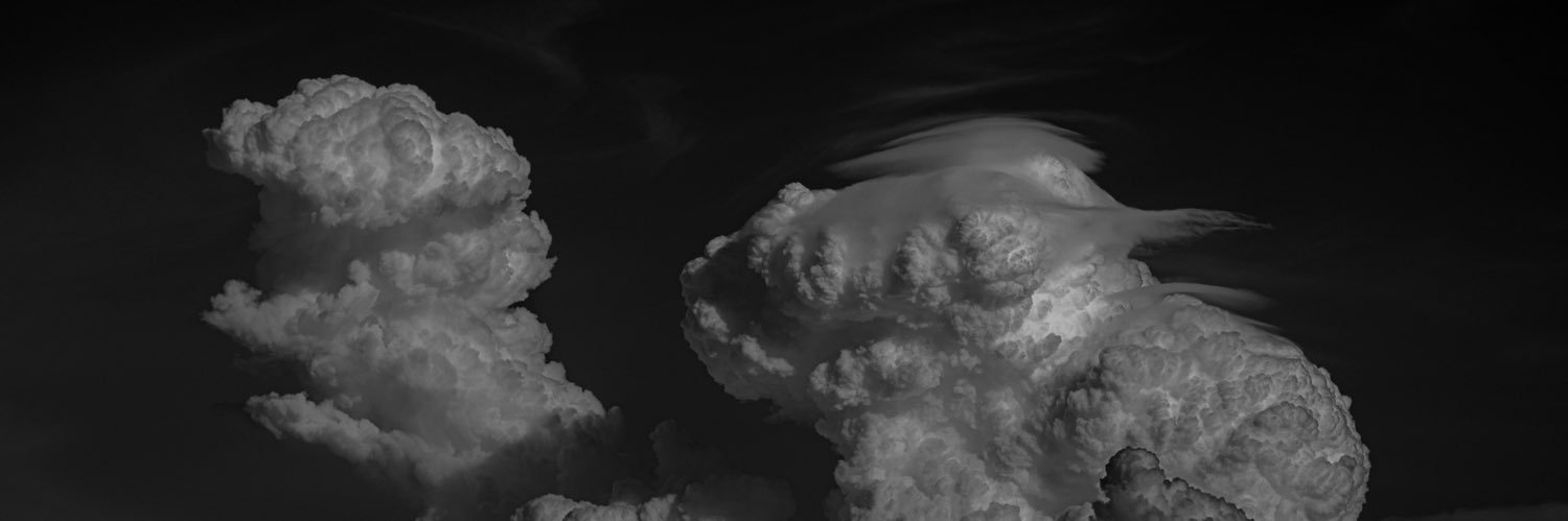 Landen banner