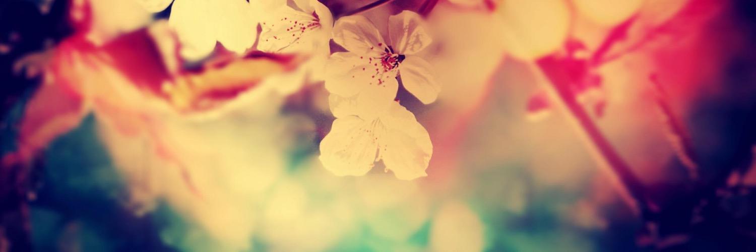 Arianalopezn's profile banner image