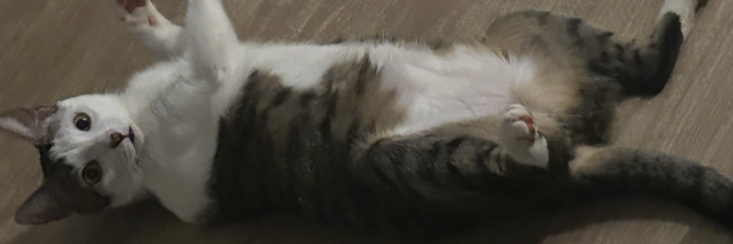 ana carol DA SUNSHARK☀️🦈 banner