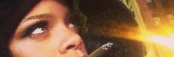 iris banner