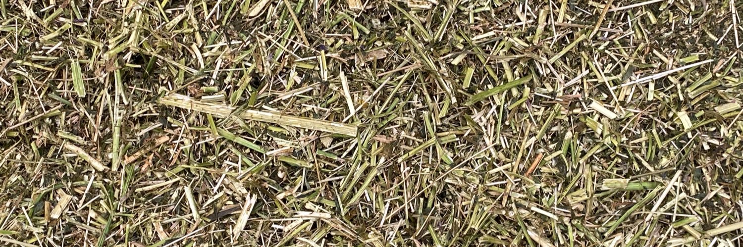 Grass Science Seeds Biogas banner