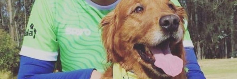 GaboBayas's profile banner image