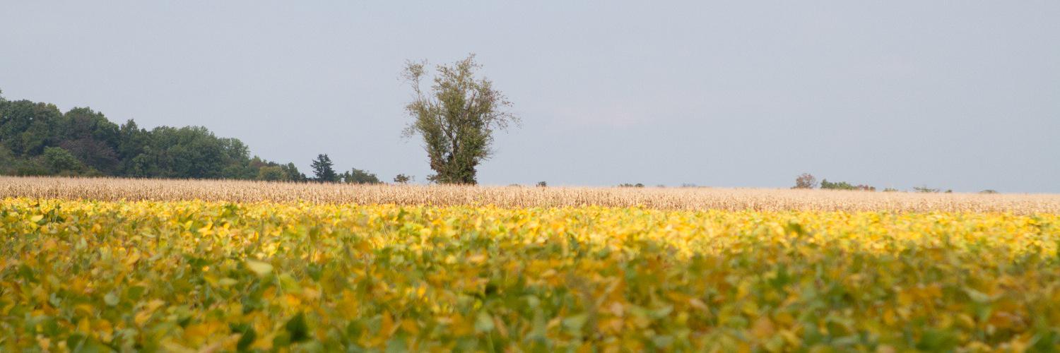aldrinpiri's profile banner image