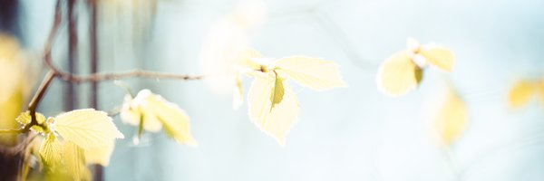 scale_osaka Profile Banner