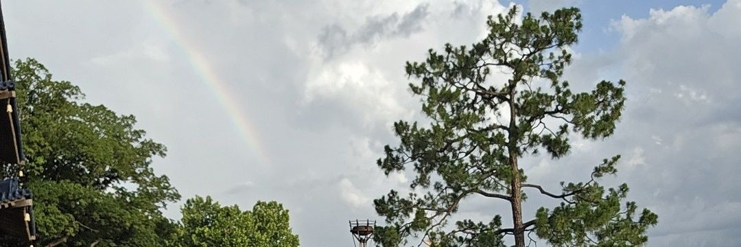 WMUsteve23's profile banner image