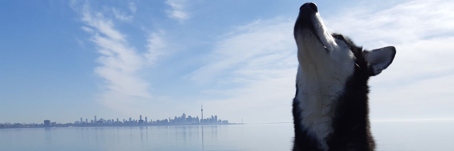 Crush the Infamous banner