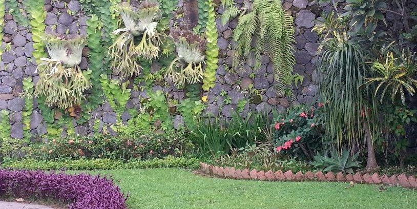CynthiaNabell's profile banner image