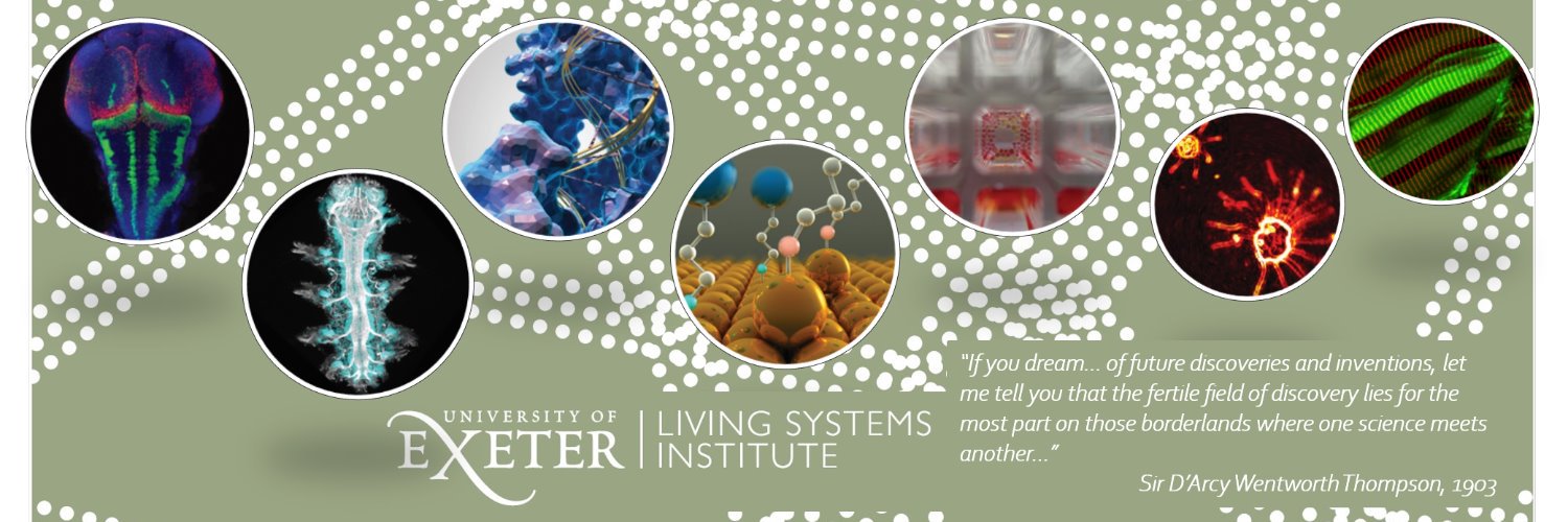 LSI Exeter's banner