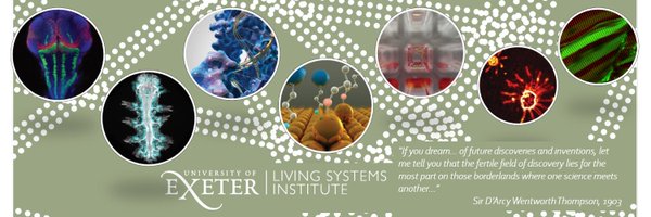 LSI_Exeter Profile Banner