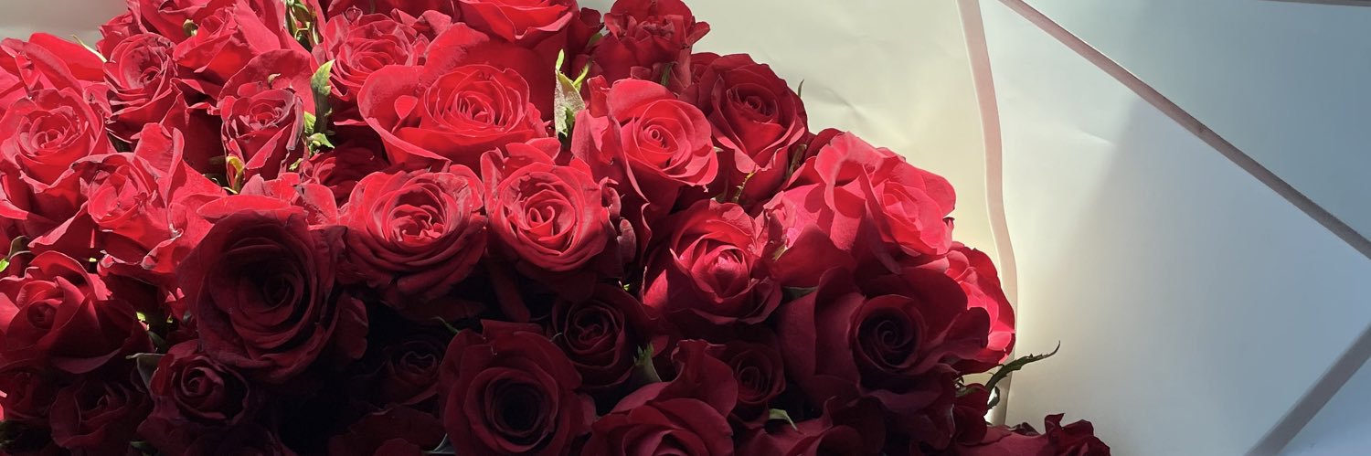 janineboycee's profile banner image