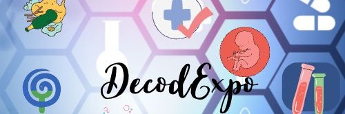 Aleksandra Buha banner