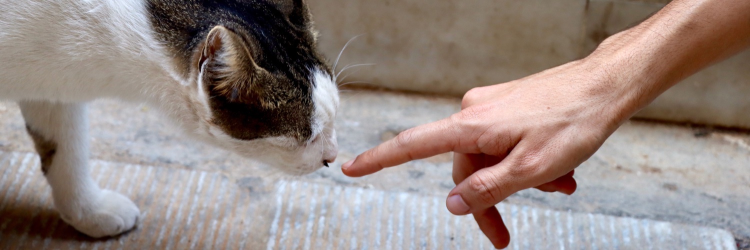 Jack Baker 🌵🐾 banner